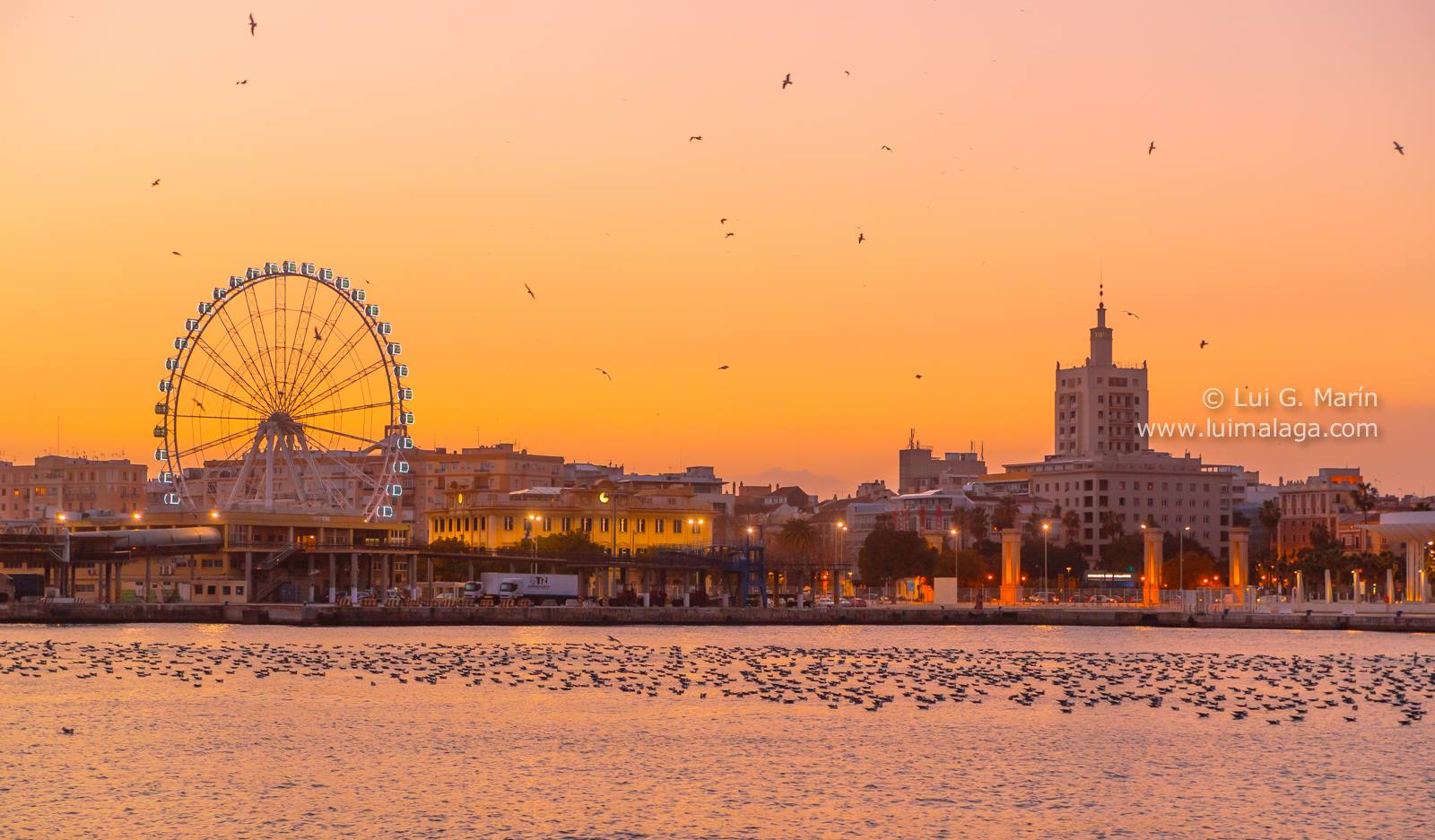 Agenda Málaga y Provincia fin de semana del 26 al 28 de septiembre de 2025